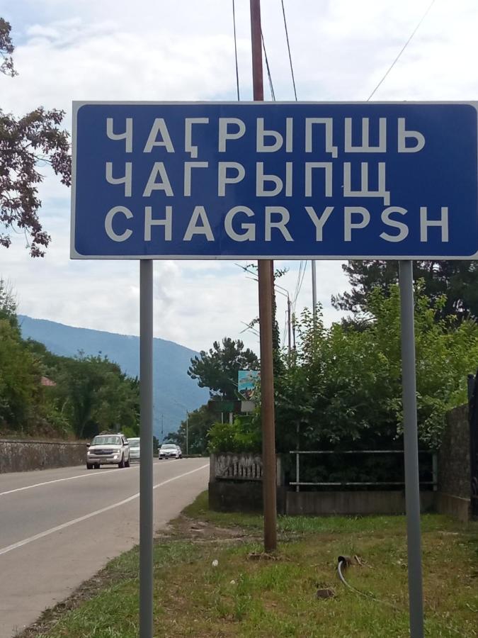 Гостевой Дом Мимоза Gagra Exterior photo